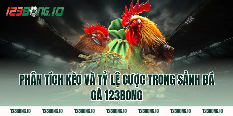Phân Tích Kèo Và Tỷ Lệ Cược Trong Sảnh Đá Gà 123Bong 